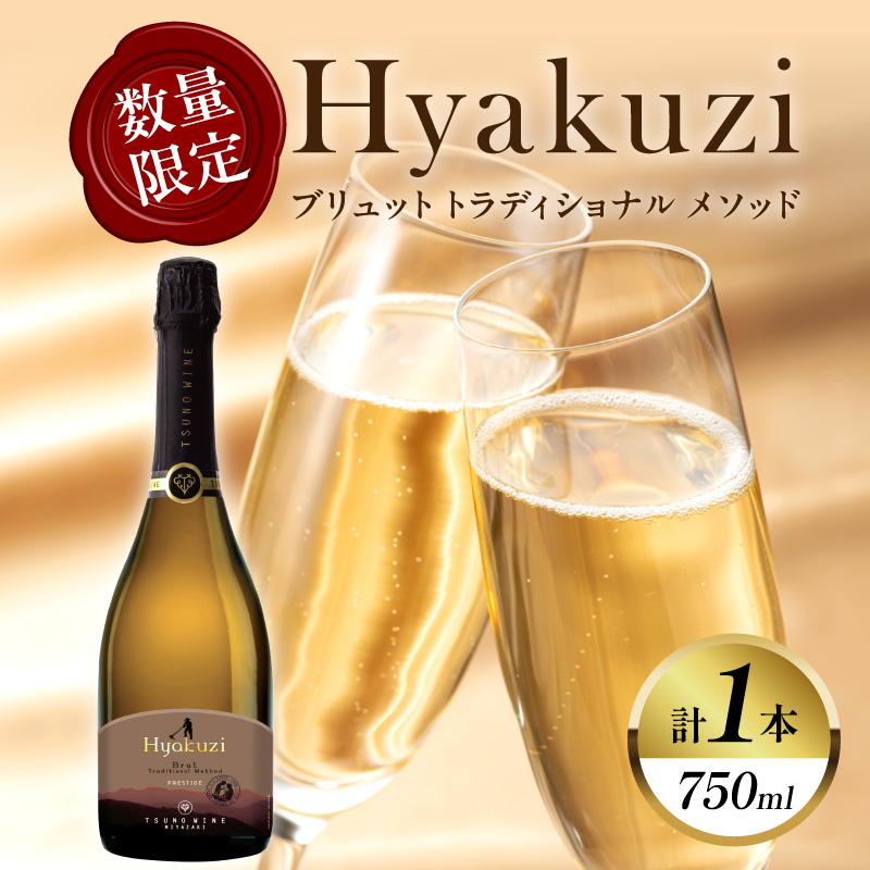 【数量限定】Hyakuzi ブリュット トラディショナル メソッド(計1本)_T014-008【酒 飲料 アルコール 国産 人気 ギフト 食品 お酒 BBQ お土産 限定品 贈り物 送料無料 プレゼント】