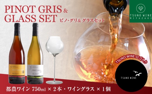 ≪数量限定≫都農ワイン ピノグリ2本&グラスセット 酒 飲料 アルコール 国産 ロナ_T014-021