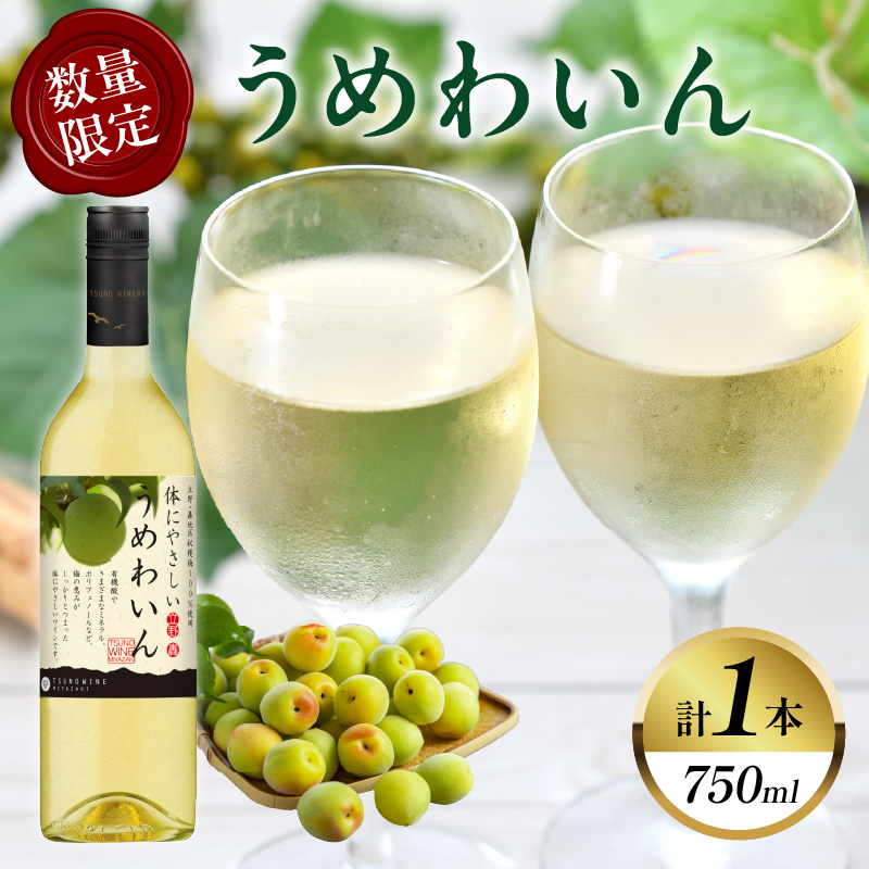 【数量限定】うめわいん(計1本) _T014-029【酒 飲料 アルコール 国産 人気 ギフト 飲料 食品 お酒 お土産 限定品 贈り物 送料無料 プレゼント】