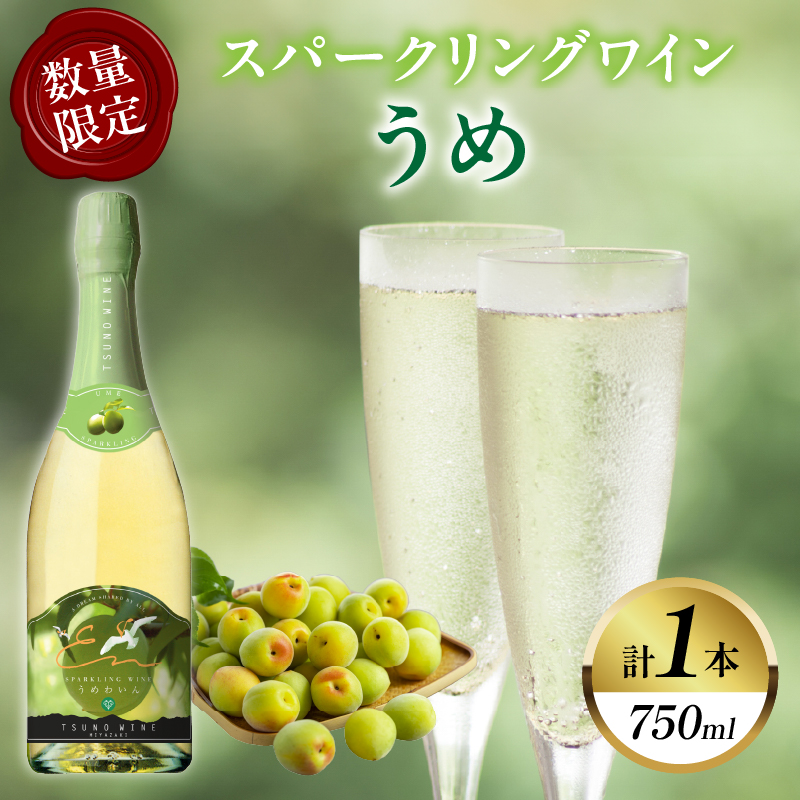 【数量限定】スパークリングワインうめ(計1本) _T014-030【酒 飲料 アルコール 国産 人気 ギフト 飲料 食品 お酒 お土産 限定品 贈り物 送料無料 プレゼント】