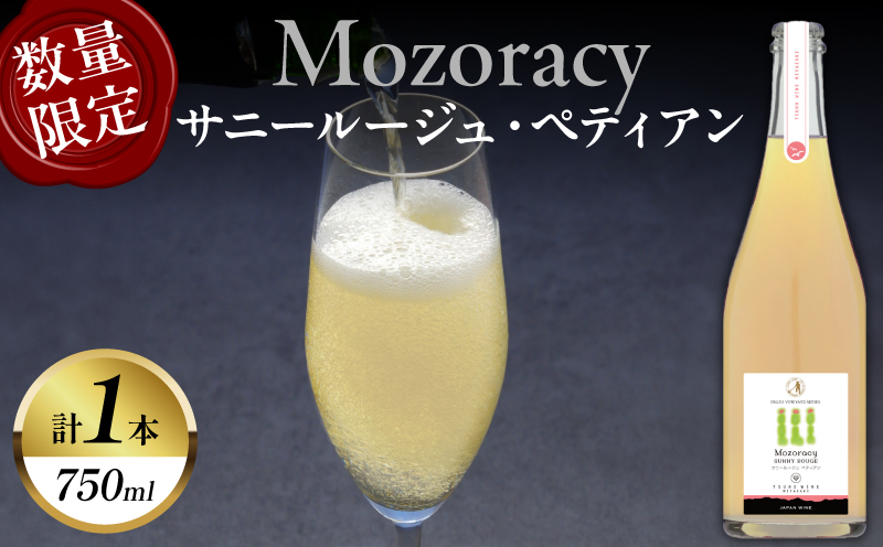 【数量限定】Mozoracy サニールージュ ペティアン(計1本)_T014-052【 ワイン 酒 アルコール 国産 人気 ギフト 食品 飲料 BBQ お土産 限定品 贈り物 送料無料 プレゼント】