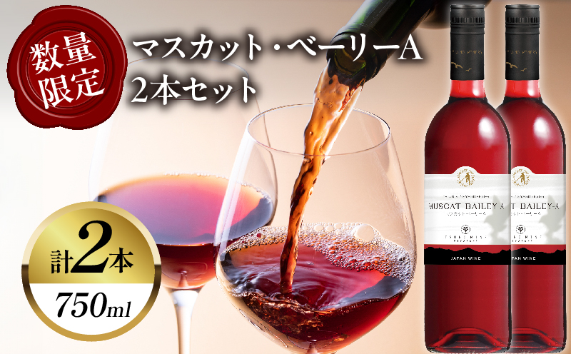 【数量限定】マスカット・ベーリーA 2本セット_T014-054【人気 ギフト 飲料 食品 お酒 お土産 限定品 贈り物 送料無料 プレゼント  ワイン 酒 飲料 アルコール 国産】