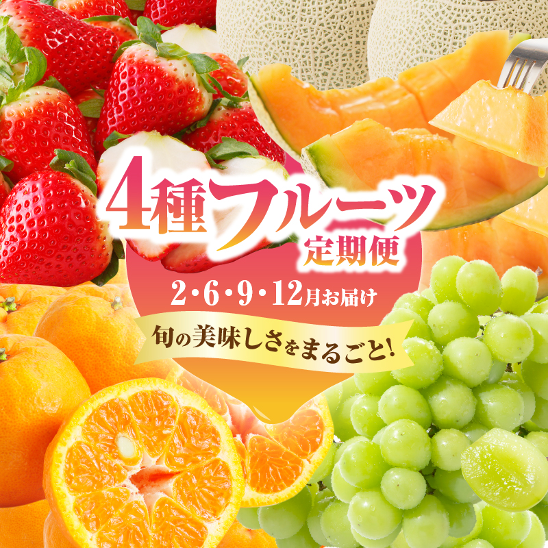 ≪定期便全4回≫2月・6月・9月・12月お届け!!４種フルーツ定期便★_T015-009【フルーツ 果物 デザート 国産 人気 ギフト 食品 旬 くだもの 果実 贈り物 お土産 送料無料 プレゼント】