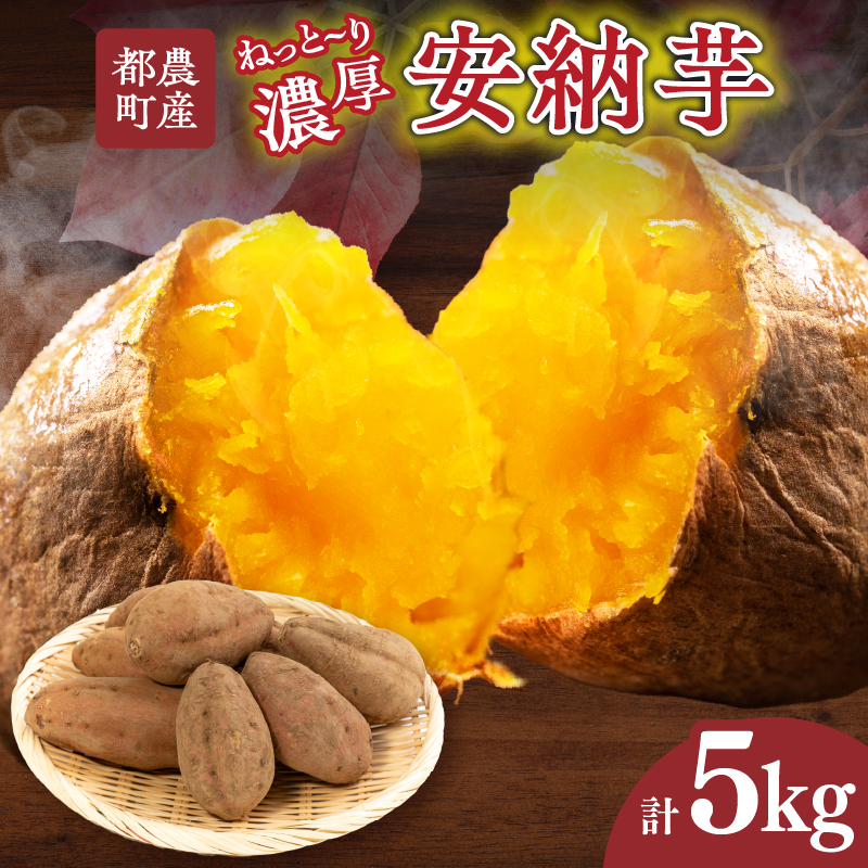 ≪期間限定≫都農町産安納芋(計5kg)_T016-0011【野菜 芋 イモ 国産 人気 ギフト おかず さつまいも 焼き芋 ポテト デザート 送料無料 プレゼント】