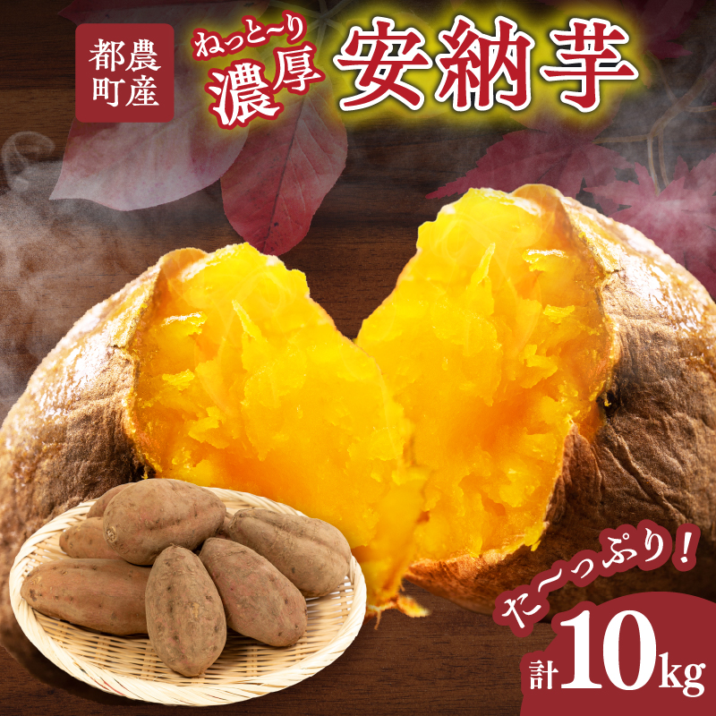 ≪期間限定≫都農町産安納芋(計10kg)_T016-0021【野菜 芋 イモ 国産 人気 ギフト おかず さつまいも 焼き芋 ポテト デザート 送料無料 プレゼント】
