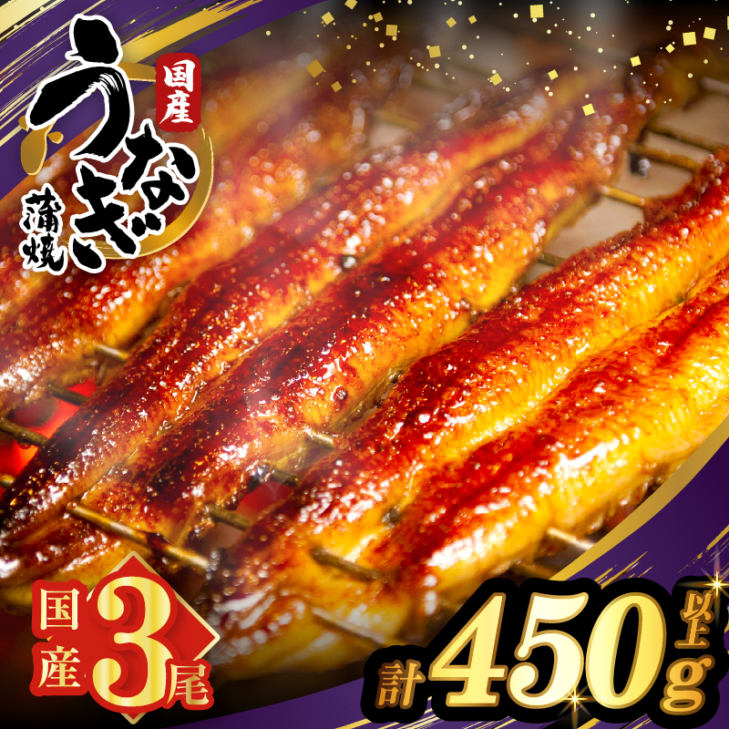 うなぎ蒲焼3尾(さんしょう・たれ付き)計450g以上_T026-014【鰻 魚 魚介 加工品 九州産 国産 人気 ギフト 食品 おかず 惣菜 高級 お土産 贈り物 送料無料 プレゼント】