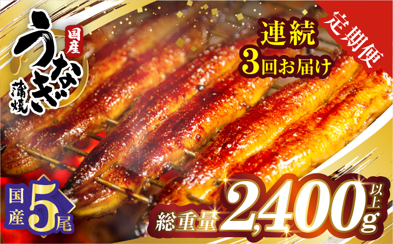 【3回連続定期便】うなぎ蒲焼5尾(さんしょう・たれ付き)総重量2400g以上_T026-0032-R【鰻 魚 魚介 加工品 国産 人気 ギフト 食品 おかず 惣菜 高級 お土産 贈り物 送料無料 プレゼント】