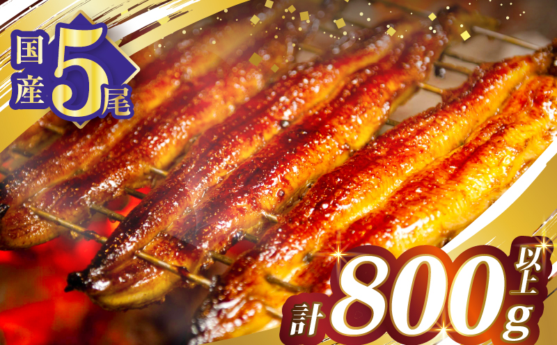 うなぎ蒲焼5尾(さんしょう・たれ付き)計800g以上_T026-0032【鰻 魚 魚介 加工品 国産 人気 ギフト 食品 おかず 惣菜 高級 お土産 贈り物 送料無料 プレゼント】