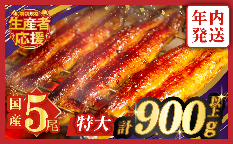 【年内発送】【数量・期間限定 特別規格】うなぎ蒲焼5尾(さんしょう・たれ付き)計900g以上_T026-0032-ZO-12【鰻 魚 魚介 加工品 国産 人気 ギフト 食品 おかず 惣菜 高級 お土産 贈り物 送料無料 プレゼント】