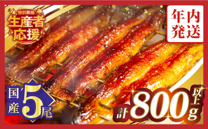 【年内発送】【数量・期間限定 特別規格】うなぎ蒲焼5尾(さんしょう・たれ付き)計800g以上_T026-0032-12【鰻 魚 魚介 加工品 国産 人気 ギフト 食品 おかず 惣菜 高級 お土産 贈り物 送料無料 プレゼント】