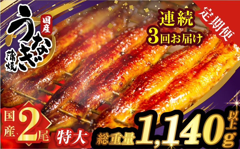 【3回連続定期便】うなぎ蒲焼特大2尾(さんしょう・たれ付き)総重量1140g以上_T026-0061-R【鰻 魚 魚介 加工品 国産 人気 ギフト 食品 おかず 惣菜 高級 お土産 贈り物 送料無料 プレゼント】