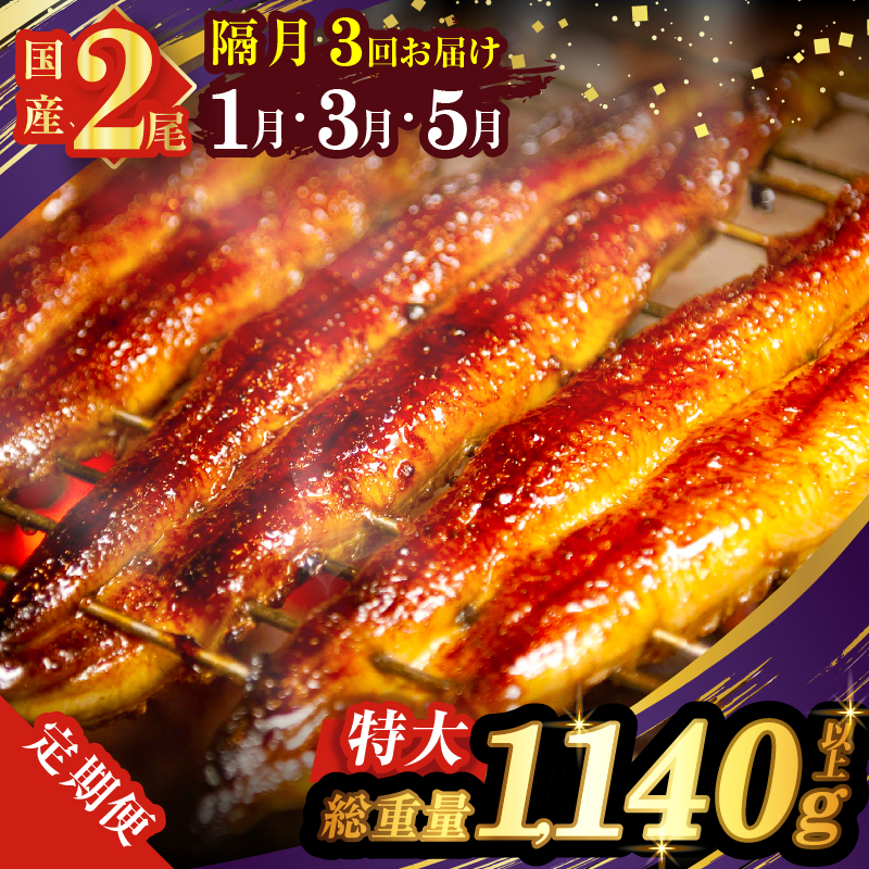 先行予約≪隔月定期便全3回≫1月・3月・5月お届け!!うなぎ蒲焼特大2尾(総重量1140g以上) _T026-0073【鰻 魚 魚介 加工品 国産 人気 ギフト 食品 おかず 惣菜 高級 お土産 贈り物 送料無料 プレゼント】