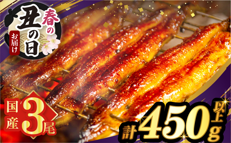 【春の丑の日までにお届け!!】うなぎ蒲焼3尾(さんしょう・たれ付き)計450g以上_T026-014-US1【鰻 魚 魚介 加工品 国産 人気 ギフト 食品 おかず 惣菜 高級 お土産 贈り物 送料無料 プレゼント】