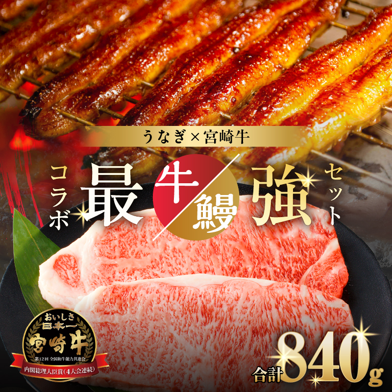 ≪数量限定≫うなぎ×宮崎牛 都農町最強セットA_T030-1293【肉 牛 牛肉 焼肉 国産 人気 ギフト 食品 焼肉 ステーキ BBQ 贈り物 送料無料 プレゼント】