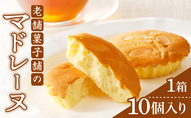 【2週間以内発送】老舗菓子舗のマドレーヌ計10個_T035-0021【焼き菓子 スイーツ 詰め合わせ 洋菓子 人気 ギフト 食品 贈り物 お土産 デザート 加工品 送料無料 プレゼント】