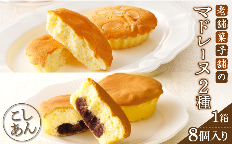【2週間以内発送】老舗菓子舗のマドレーヌ2種セット(合計8個)_T035-0051【焼き菓子 スイーツ 詰め合わせ 洋菓子 人気 ギフト 食品 贈り物 お土産 デザート 加工品 送料無料 プレゼント】