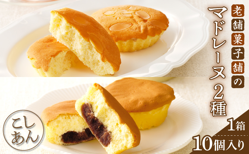 【2週間以内発送】老舗菓子舗のマドレーヌ2種セット(合計10個)_T035-0061【焼き菓子 スイーツ 詰め合わせ 洋菓子 人気 ギフト 食品 贈り物 お土産 デザート 加工品 送料無料 プレゼント】