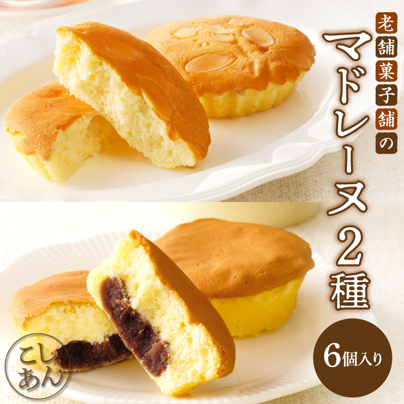 【2週間以内発送】老舗菓子舗のマドレーヌ2種セット「合計6個・個包装」_T035-020【焼き菓子 スイーツ 詰め合わせ 洋菓子人気 ギフト 食品 贈り物 お土産 デザート 加工品 送料無料 プレゼント 】