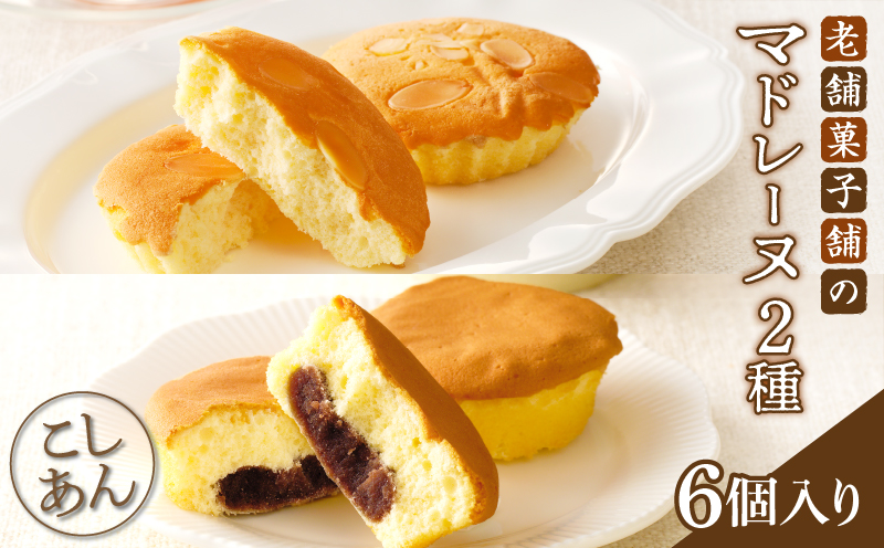 【2週間以内発送】老舗菓子舗のマドレーヌ2種セット「合計6個・個包装」_T035-020【焼き菓子 スイーツ 詰め合わせ 洋菓子人気 ギフト 食品 贈り物 お土産 デザート 加工品 送料無料 プレゼント 】