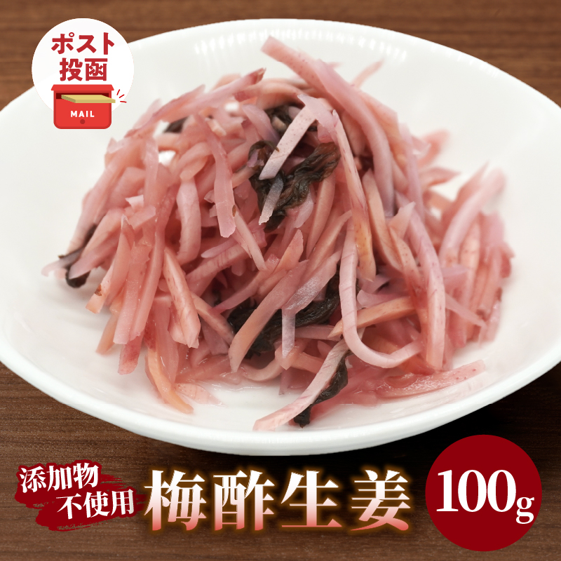 ＼ポスト投函／梅酢生姜100g_T037-0101【おかず 漬物 野菜 加工品 国産 人気 ギフト 食品 つけもの おつまみ ご飯 贈り物 送料無料 プレゼント】