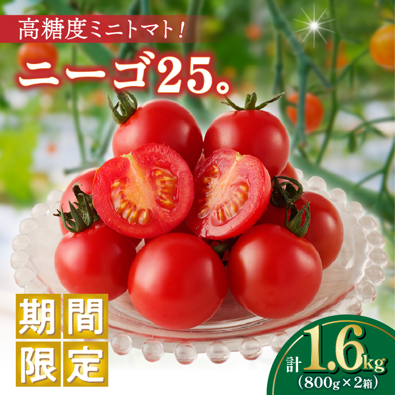 先行予約≪期間限定≫高糖度ミニトマト『ニーゴ25。』(計1.6kg) _T040-0021【ミニトマト 野菜 サラダ 国産 人気 ギフト 食品 とまと フルーツ 新鮮 お土産 送料無料 プレゼント】
