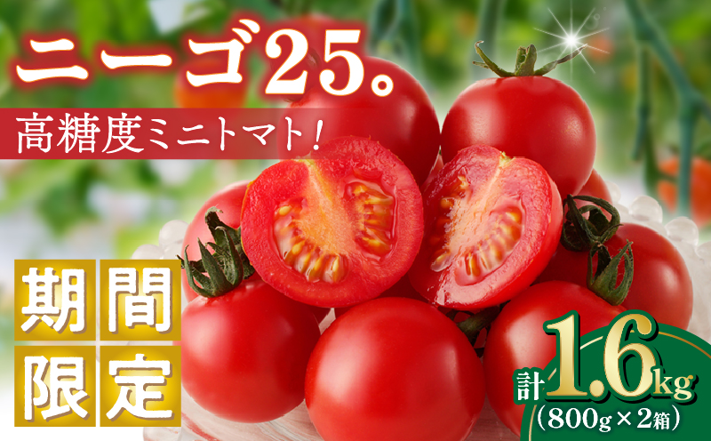 ≪期間限定≫高糖度ミニトマト『ニーゴ25。』(計1.6kg)_T040-0021【ミニトマト 野菜 サラダ 国産 人気 ギフト 食品 とまと フルーツ 新鮮 お土産 送料無料 プレゼント】