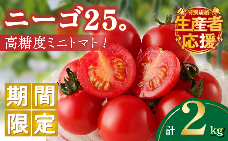 生産者応援!!【期間・数量限定特別規格】高糖度ミニトマト『ニーゴ25。』(計2kg)_T040-0021-ZO【ミニトマト 野菜 サラダ 国産 人気 ギフト 食品 とまと フルーツ 新鮮 お土産 送料無料 プレゼント】