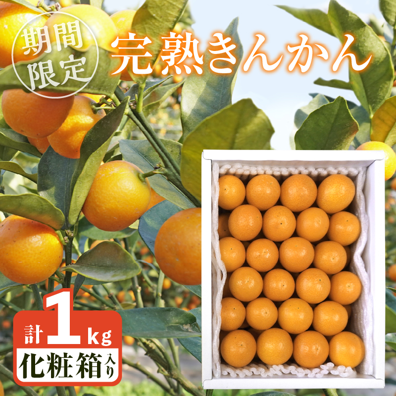 先行予約≪数量限定≫完熟きんかん(計1kg) 化粧箱入り_T042-0021【フルーツ 果物 柑橘 国産 人気 ギフト 食品 くだもの 金柑 デザート 贈り物 お土産 送料無料プレゼント】