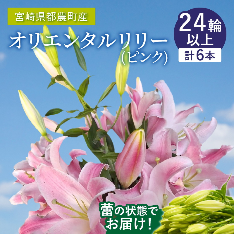 【2週間以内発送】「オリエンタルリリー ユリ」(ピンク) 計6本_T045-0021【生花 切花 百合 国産 人気 ギフト 花 花束 生花 植物 鑑賞用 贈り物 お土産 送料無料 プレゼント】
