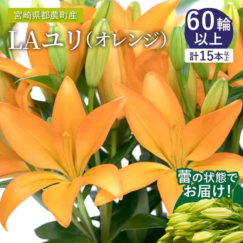 【2週間以内発送】≪期間限定≫LA ユリ(オレンジ) 約15本_T045-0071【生花 切花 百合 国産 人気 ギフト 花 花束 生花 植物 鑑賞用 贈り物 お土産 送料無料 プレゼント】