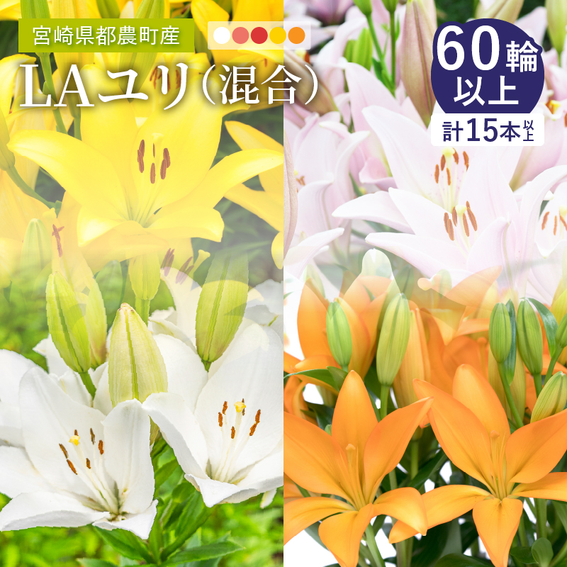 【2週間以内発送】≪期間限定≫LA ユリ(混合) 約15本_T045-0081【生花 切花 百合 国産 人気 ギフト 花 花束 生花 植物 鑑賞用 贈り物 お土産 送料無料 プレゼント】