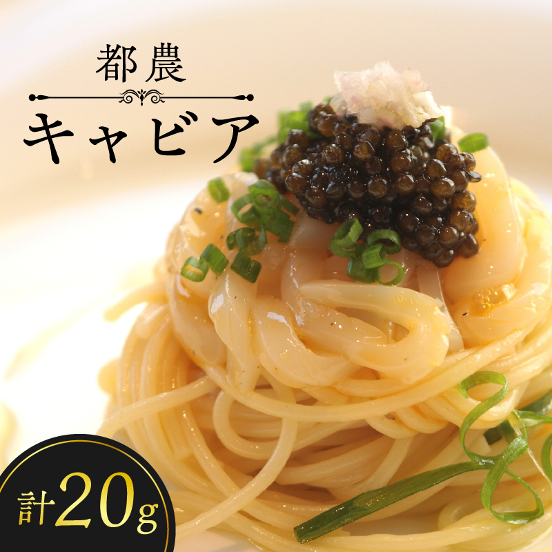【2週間以内発送】都農キャビア(計20g)_T047-0021【魚 魚介 魚卵 国産 人気 ギフト 食品 おかず 魚介 加工品 お土産 贈り物 送料無料 プレゼント】