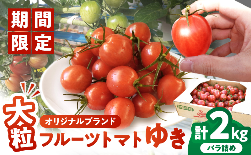 先行予約≪期間限定≫オリジナルブランド「フルーツトマト ゆき」計2kg ミニトマト 野菜 サラダ 国産_T047-0041【人気 ギフト 食品 とまと フルーツ 新鮮 お土産 贈り物 送料無料 プレゼント】
