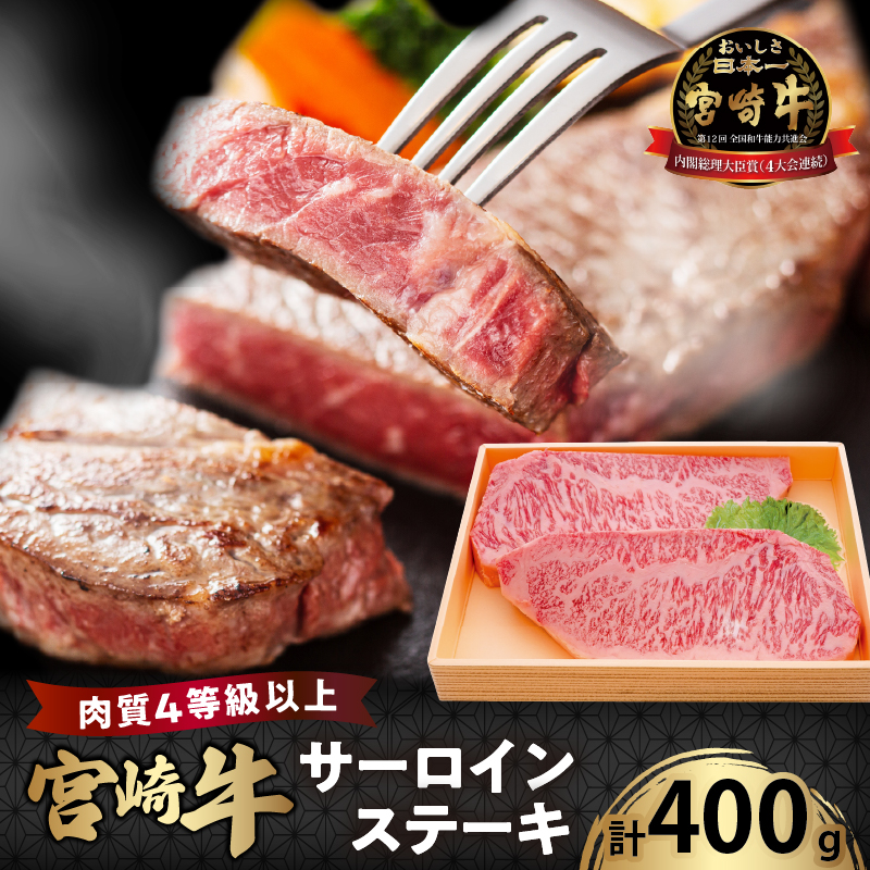 宮崎牛サーロインステーキ(計400g) _T050-0011【肉 牛 牛肉 国産 人気 ギフト 食品 おかず お肉 焼肉 BBQ 贈り物 送料無料 プレゼント】