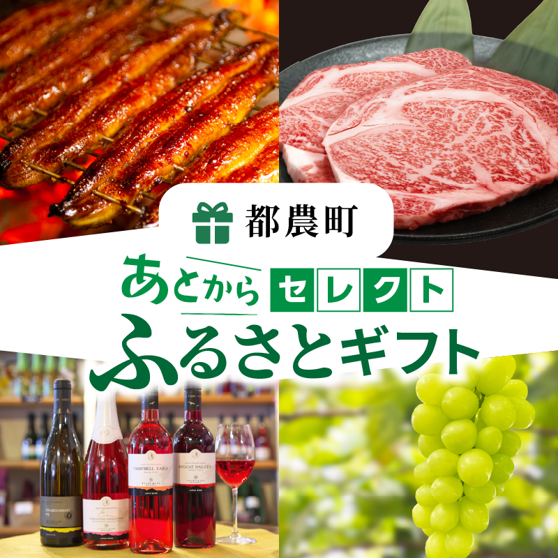 ≪期限1年間≫あとからセレクト 15,000円コース【ふるさとギフト】 あとから選べる_T998-002【カタログ ギフト 鰻 肉 ワイン 都農町】