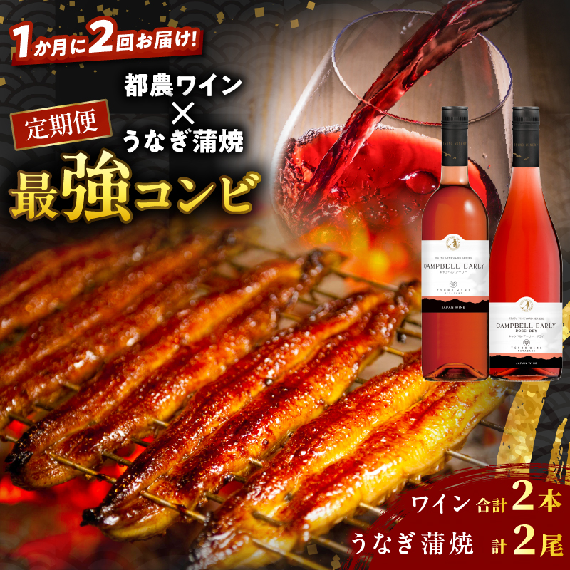 ≪定期便≫＼1か月に2回お届け!!／都農ワイン×うなぎ蒲焼★最強コンビ_T999-0031【酒 飲料 鰻 魚介 国産 人気 ギフト 食品 お酒 飲み比べ 惣菜 高級 お土産 贈り物 送料無料】