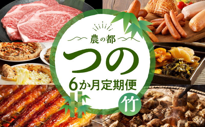 ≪6か月お楽しみ定期便≫都農町定期便(竹) _T999-0063【肉 加工品 鰻 国産 人気 ギフト おかず 食品 簡単調理 贈り物 お土産 送料無料 プレゼント】