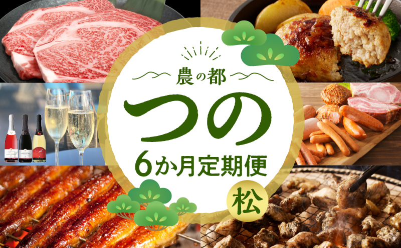 ≪6か月お楽しみ定期便≫都農町定期便(松)_T999-0073【肉 加工品 鰻 国産 人気 ギフト おかず 食品 簡単調理 贈り物 お土産 送料無料 プレゼント】