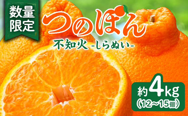 先行予約≪数量限定≫不知火(つのぽん)約4kg_T002-001[フルーツ 果物 柑橘 みかん 国産 人気 ギフト 食品 旬 果実 くだもの デザート お土産 送料無料 プレゼント]