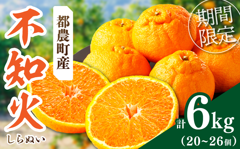 先行予約≪期間限定≫都農町産「不知火(しらぬい)計6kg」_T008-002[フルーツ 果物 柑橘 みかん 国産 人気 ギフト 食品 旬 果実 くだもの デザート お土産 送料無料 プレゼント]