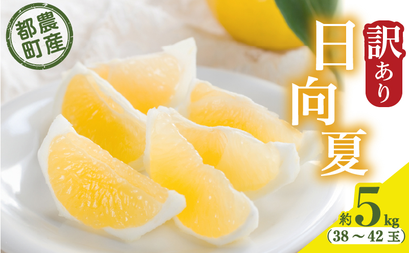 ≪先行予約≫都農町産「訳あり日向夏(約5kg)」_T008-004[フルーツ 果物 柑橘 国産 人気 ギフト 食品 果実 デザート 贈り物 お土産 送料無料 プレゼント]