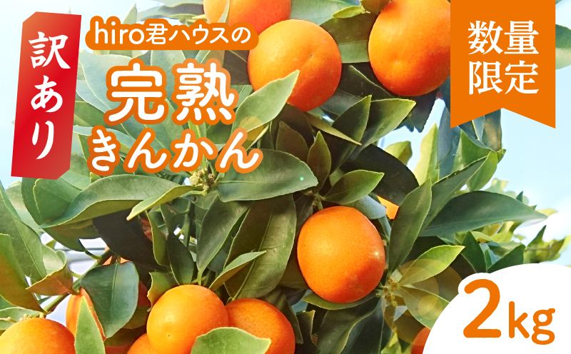 先行予約≪数量限定≫訳ありhiro君ハウスの『完熟きんかん(計2kg)』_T022-003[都農町新着 フルーツ 果物 金柑 国産 人気 ギフト 食品 くだもの アウトレット デザート 送料無料 プレゼント]