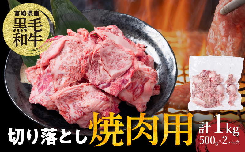 [2週間以内発送]宮崎県産黒毛和牛切り落とし(焼肉用)計1kg_T023-017[肉 牛 牛肉 国産 人気 ギフト おかず 食品 お肉 おかず BBQ 贈り物 送料無料 プレゼント]