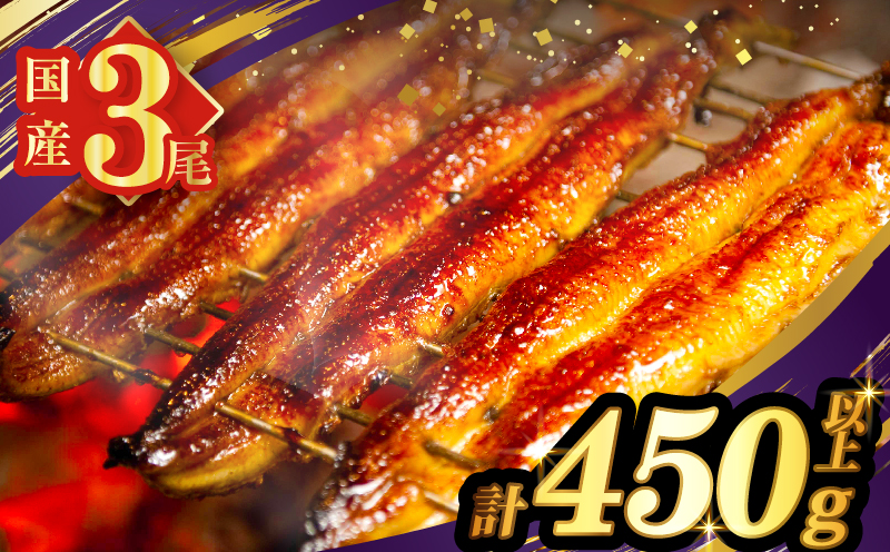 うなぎ蒲焼3尾(さんしょう・たれ付き)計450g以上_T026-014【鰻 魚 魚介 加工品 九州産 国産 人気 ギフト 食品 おかず 惣菜 高級 お土産 贈り物 送料無料 プレゼント】