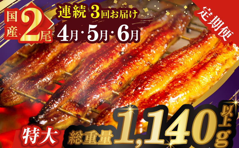 ≪定期便全3回≫4月・5月・6月お届け!!うなぎ蒲焼 特大2尾 (総重量1.14kg以上)_T026-007[鰻 魚 魚介 加工品 国産 人気 ギフト 食品 おかず 惣菜 高級 お土産 贈り物 送料無料 プレゼント]