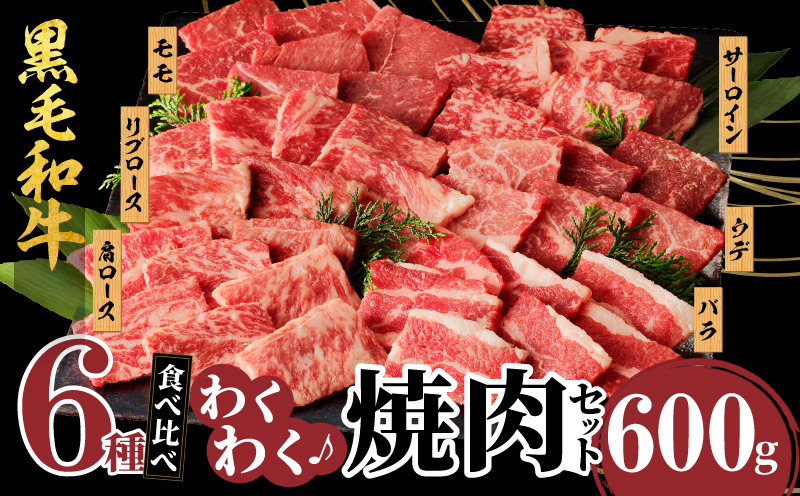 [2週間以内発送]生産者応援≪訳あり≫黒毛和牛(経産牛)6種焼肉セット(合計600g)_T030-023-2W[肉 牛 牛肉 おかず 国産 人気 ギフト 食品 お肉 焼き肉 BBQ お土産 贈り物 送料無料 プレゼント]