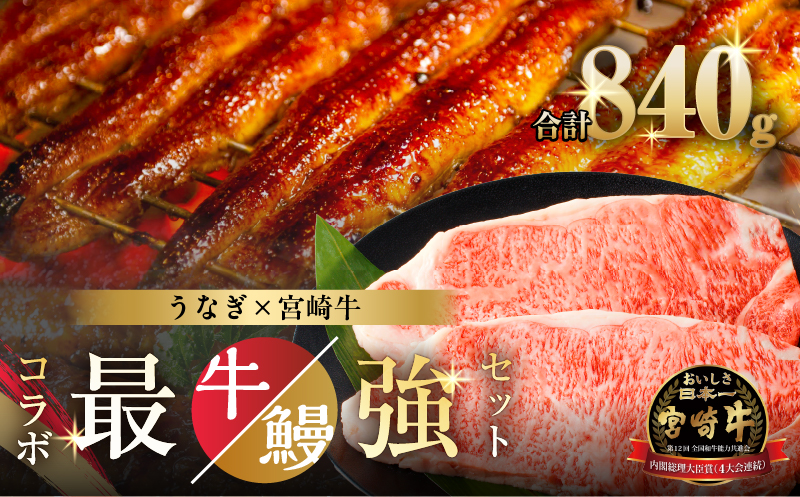 ≪数量限定≫うなぎ×宮崎牛 都農町最強セットA_T030-1293[肉 牛 牛肉 焼肉 国産 人気 ギフト 食品 焼肉 ステーキ BBQ 贈り物 送料無料 プレゼント]