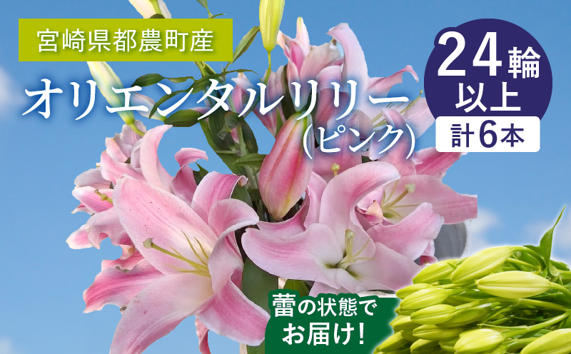 「オリエンタルリリー ユリ」(ピンク) 計6本_T045-002[都農町新着 生花 切花 百合 国産 人気 ギフト 花 花束 生花 植物 鑑賞用 贈り物 お土産 送料無料 プレゼント]