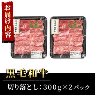 宮崎県産黒毛和牛切り落とし(計600g・300g×2P)牛肉 精肉 お肉 モモ 肩 カタ バラ ミックス 小分け すき焼き しゃぶしゃぶ 牛丼 肉じゃが 国産 冷凍【P-20】【南日本フレッシュフード株式会社(日本ハムマーケティング株式会社)】