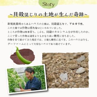 ＜先行予約受付中！2026年2月下旬～4月上旬の間に発送予定＞期間限定！スナップエンドウ(約2kg)野菜 やさい 旬 新鮮 サラダ そら豆 えんどう豆 宮崎県産【GF-1】【グーファーム】